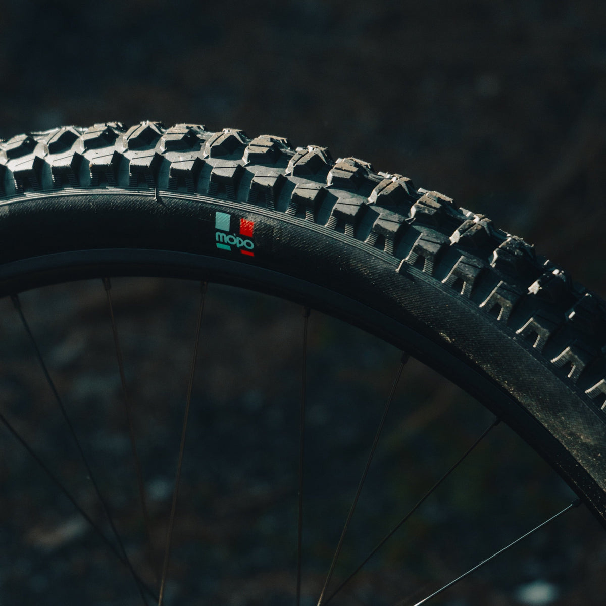 MTB Tires