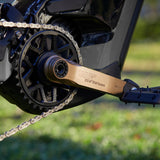 Helix Race e*spec Alloy Cranks