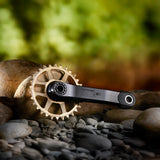 Helix Race Alloy GR Downhill Cranks