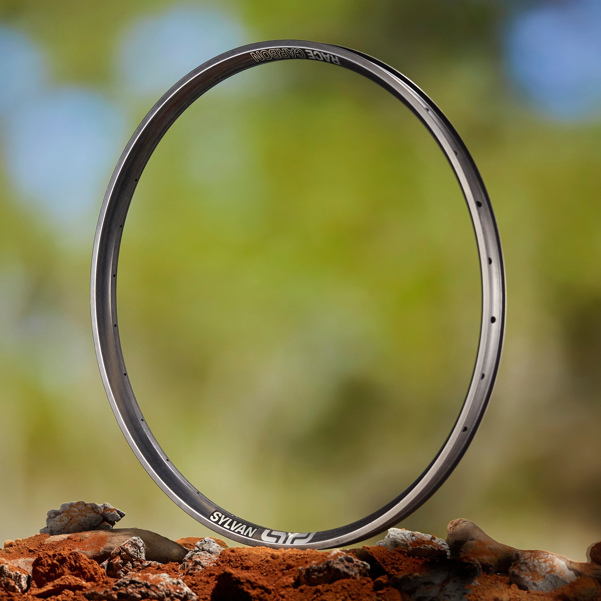 Sylvan Race Carbon All Mountain Rim