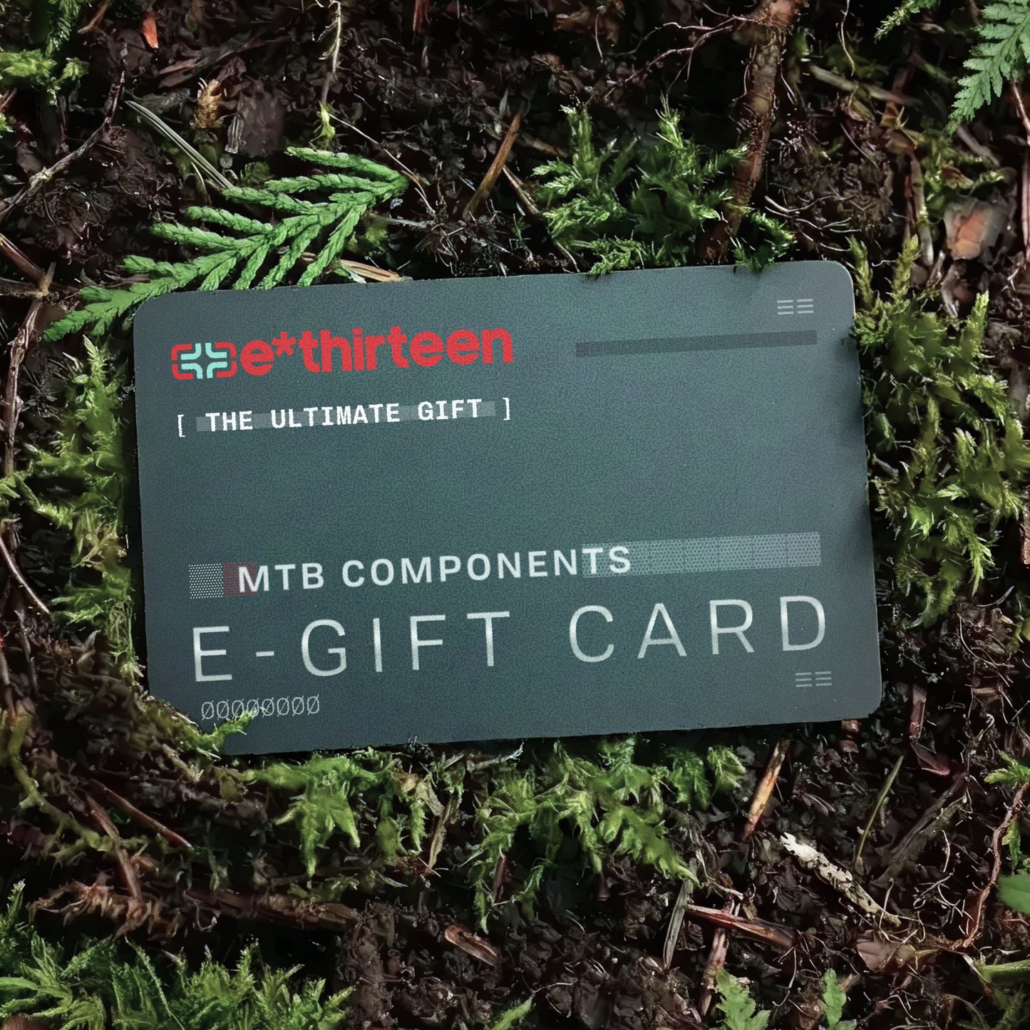 e*thirteen E-Gift Card ethirteen