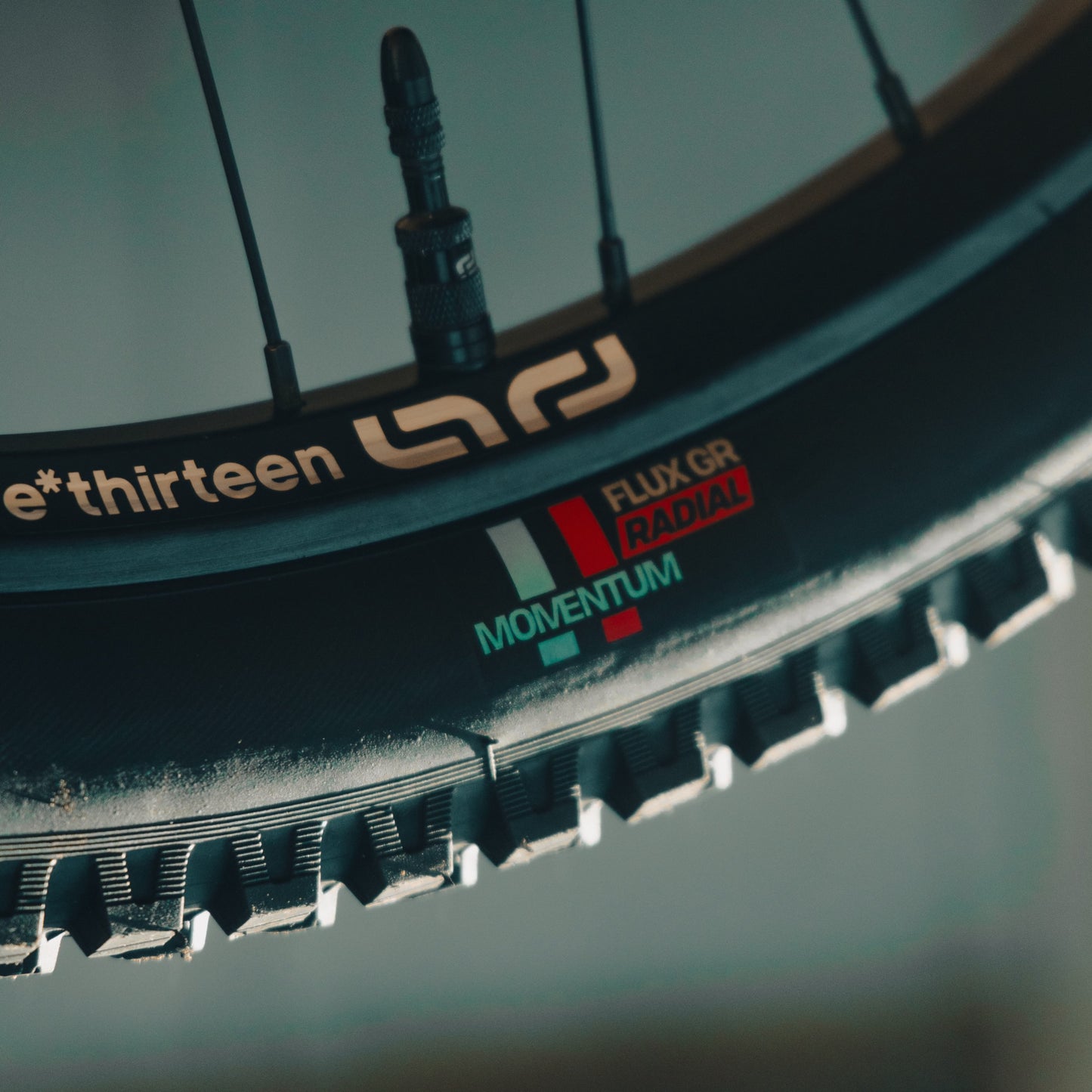 Grappler Radial MTB Tire e*thirteen
