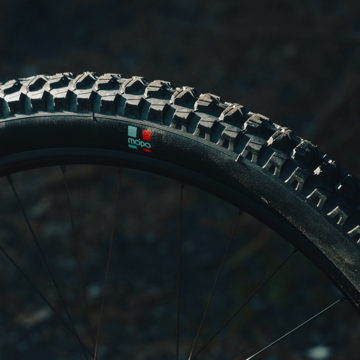 Grappler RS Rear MTB Tire e*thirteen