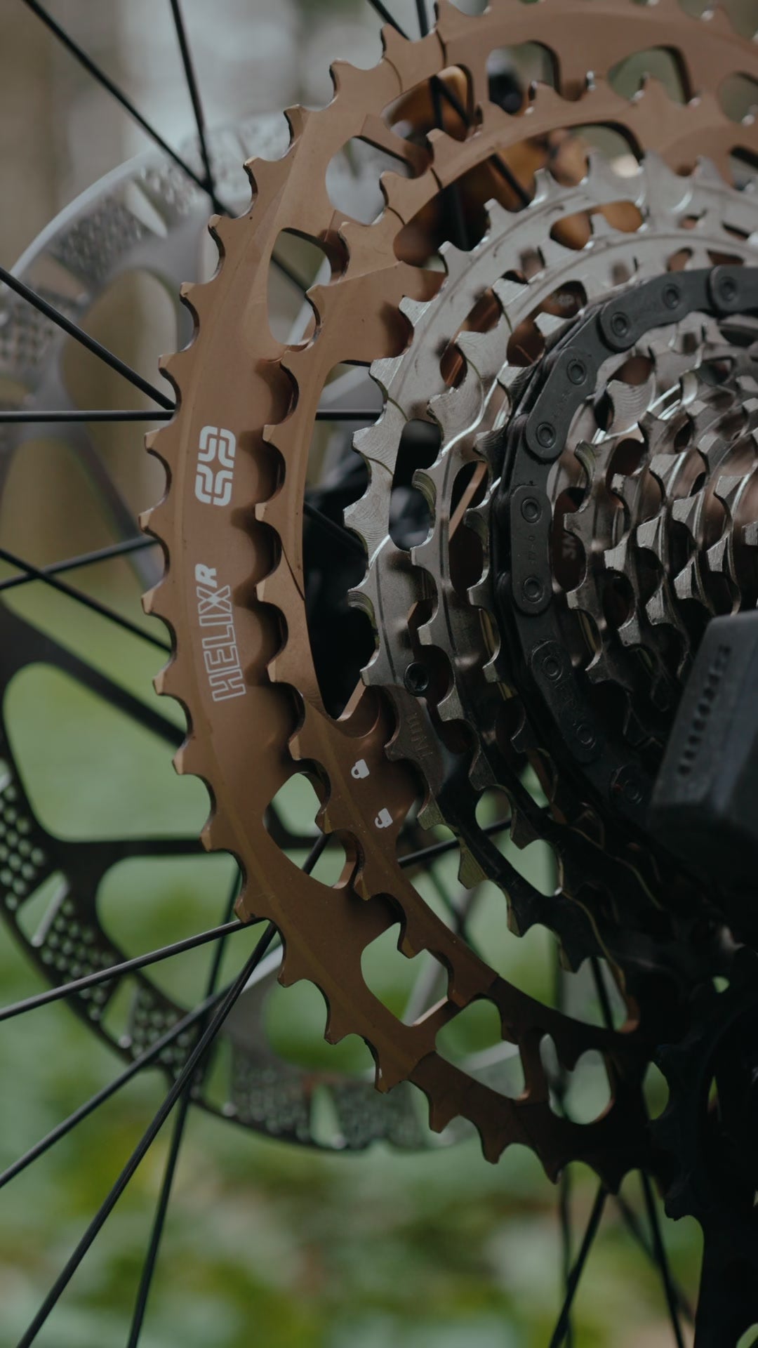 Close up of the bronze Helix Race 12 speed cassette and rotor on Jasper Jauche's Nomad