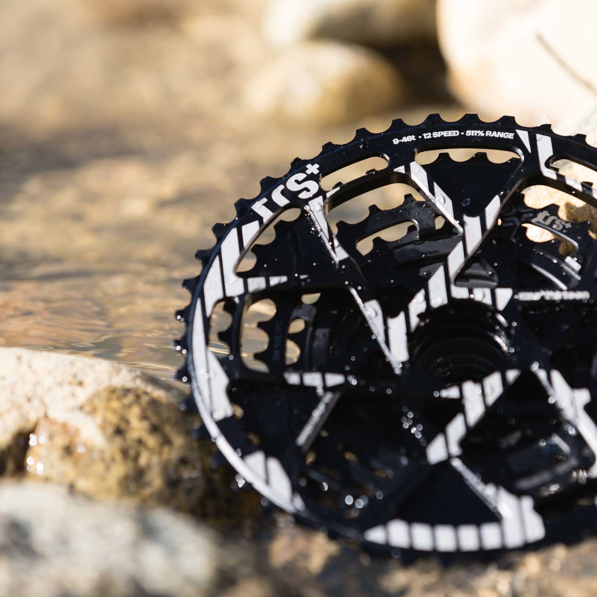 TRS Plus 12 Speed 9-46T Cassette – ethirteen - Main Image